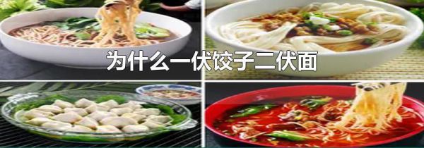 为什么一伏饺子二伏面