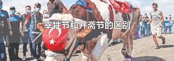 宰牲节和开斋节的区别