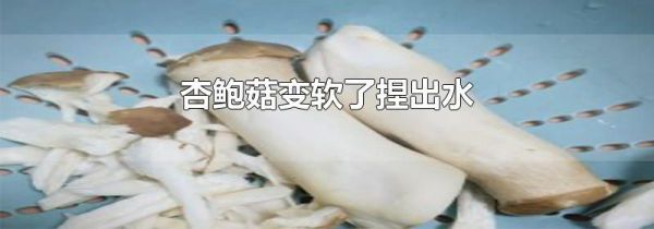 杏鲍菇变软了捏出水