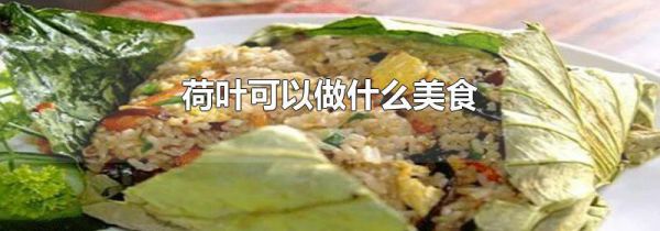荷叶可以做什么美食