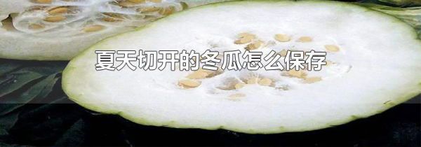 夏天切开的冬瓜怎么保存