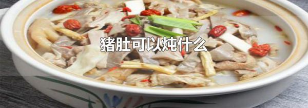 猪肚可以炖什么