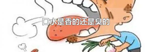 口水是香的还是臭的