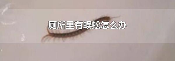 厕所里有蜈蚣怎么办