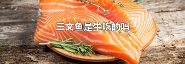 三文鱼是生吃的吗