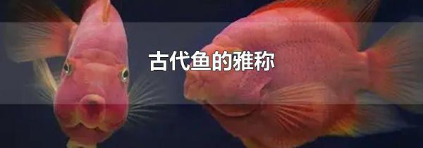 古代鱼的雅称