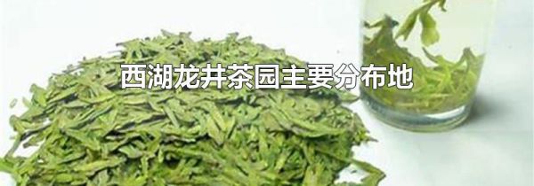 西湖龙井茶园主要分布地