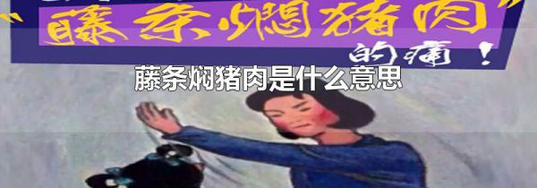 藤条焖猪肉是什么意思