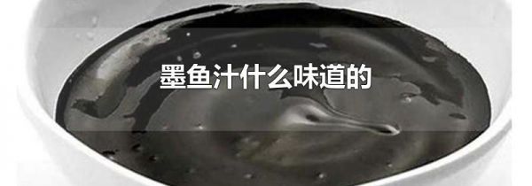 墨鱼汁什么味道的