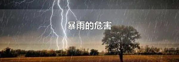暴雨的危害