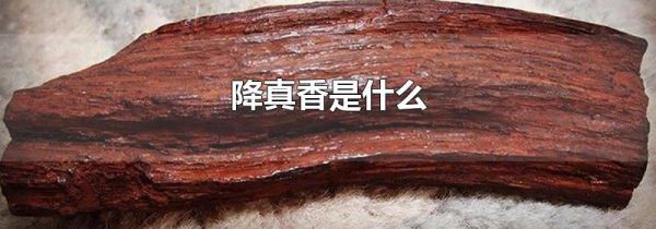 降真香是什么
