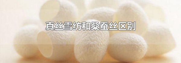 真丝雪纺和桑蚕丝区别