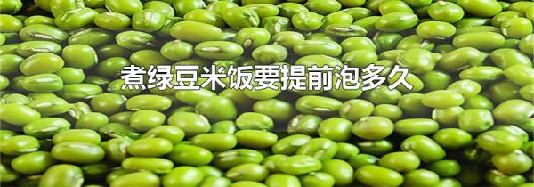 煮绿豆米饭要提前泡多久