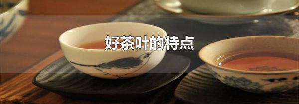 好茶叶的特点