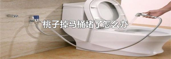 桃子掉马桶堵了怎么办