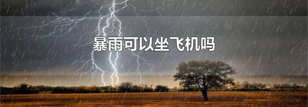 暴雨可以坐飞机吗