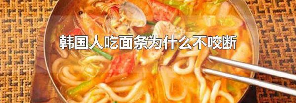 韩国人吃面条为什么不咬断