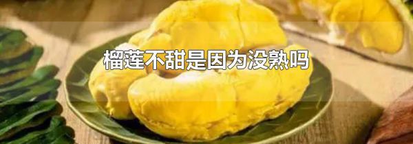 榴莲不甜是因为没熟吗