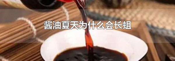 酱油夏天为什么会长蛆