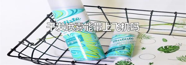干发喷雾能带上飞机吗