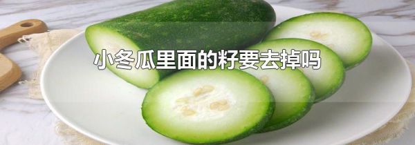 小冬瓜里面的籽要去掉吗