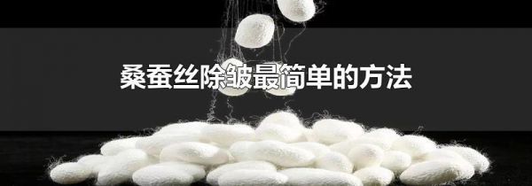桑蚕丝除皱最简单的方法