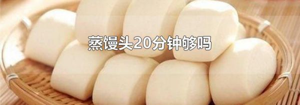 蒸馒头20分钟够吗