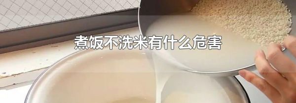 煮饭不洗米有什么危害