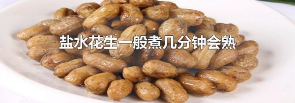 盐水花生一般煮几分钟会熟