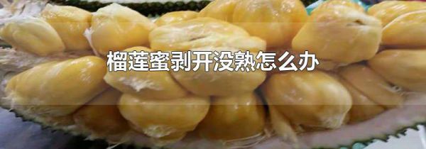 榴莲蜜剥开没熟怎么办