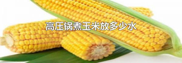 高压锅煮玉米放多少水
