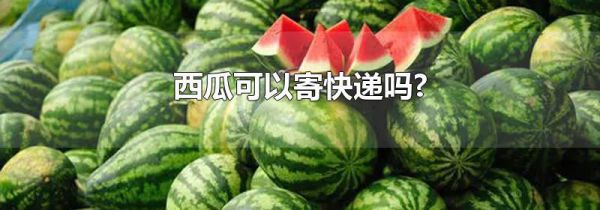 西瓜可以寄快递吗?
