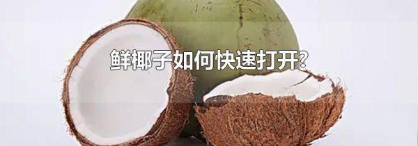 鲜椰子如何快速打开?