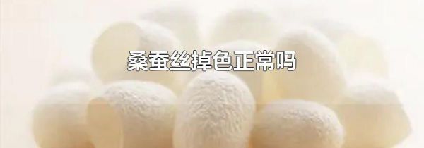 桑蚕丝掉色正常吗