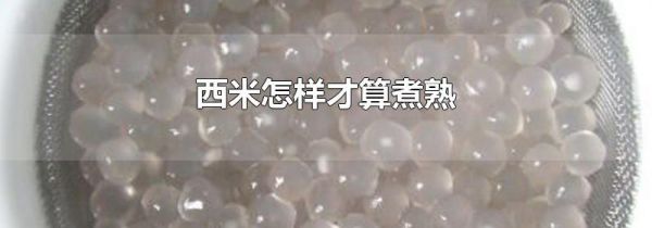 西米怎样才算煮熟