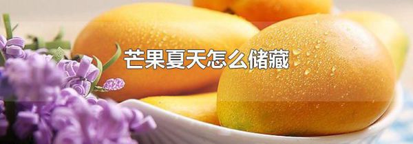 芒果夏天怎么储藏