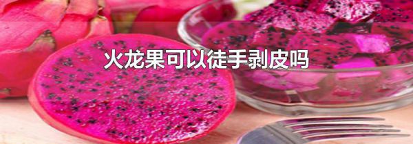 火龙果可以徒手剥皮吗