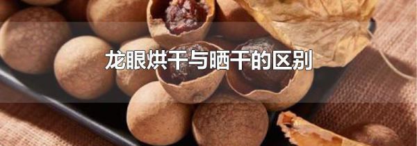 龙眼烘干与晒干的区别
