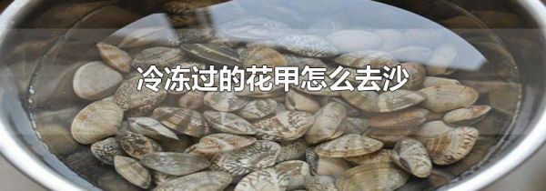 冷冻过的花甲怎么去沙