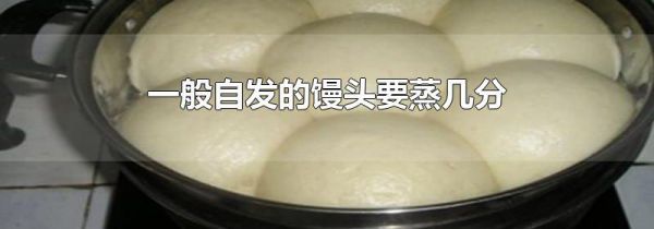 一般自发的馒头要蒸几分