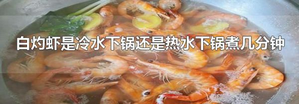 白灼虾是冷水下锅还是热水下锅煮几分钟