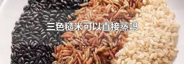 三色糙米可以直接蒸吗