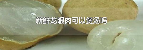 新鲜龙眼肉可以煲汤吗