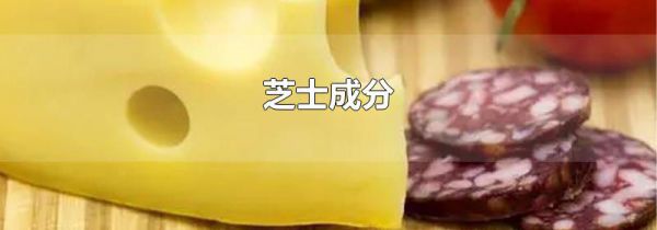 芝士成分