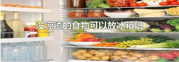 没凉透的食物可以放冰箱吗