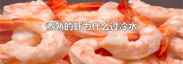煮熟的虾为什么过冷水