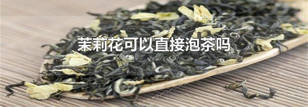 茉莉花可以直接泡茶吗