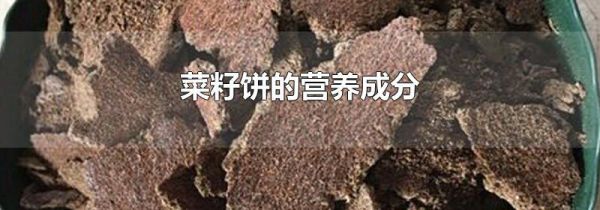 菜籽饼的营养成分