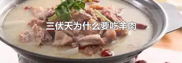 三伏天为什么要吃羊肉