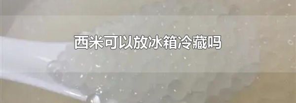 西米可以放冰箱冷藏吗